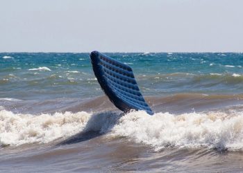 В Анапе запретили плавать на матрасах и катамаранах 5 сентября