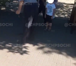 В Сочи рядом с администрацией завелась «нечистая сила»