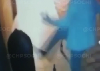 В Сочи попал на видео вандал, пристававший к мусорному баку