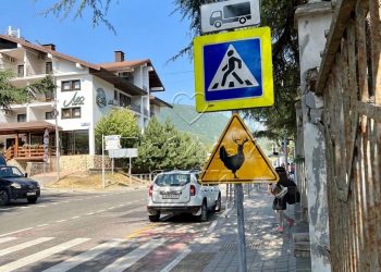 Дорожные знаки «куролени» появились в горном Сочи