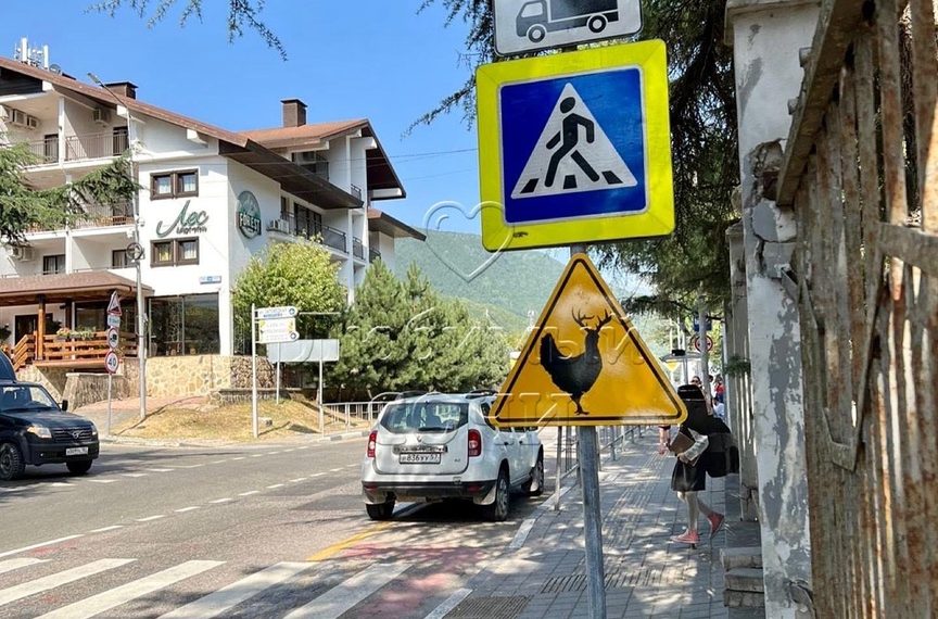 Дорожные знаки «куролени» появились в горном Сочи
