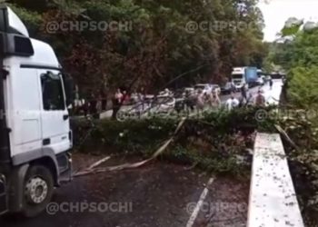 В Сочи упавшее дерево перекрыло федеральную трассу