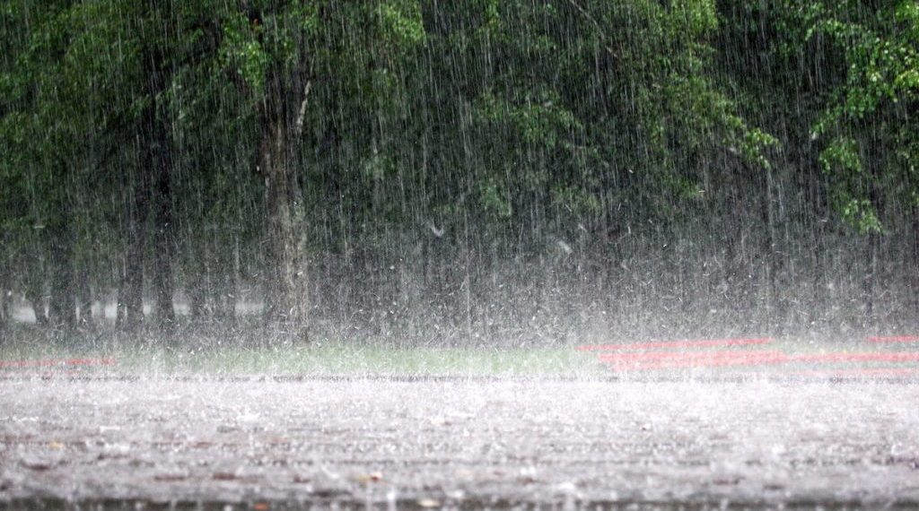 Вильфанд: погода жителям Кубани и Сочи преподнесет сюрприз