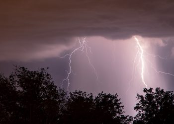 На Кубани ожидается дождь и сильный ветер