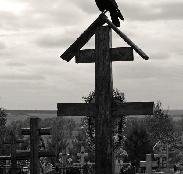 На Кубани выкопали более 11 тысяч коронавирусных могил