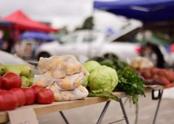 За лето на придорожных ярмарках Кубани продали 3 тысячи тонн продуктов