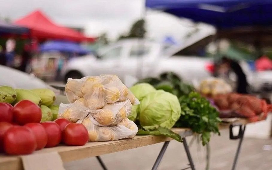 За лето на придорожных ярмарках Кубани продали 3 тысячи тонн продуктов