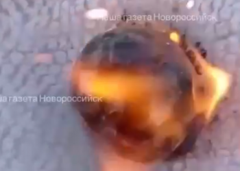 В Новороссийске на пляже «Кристалл» отдыхающие нашли взрывоопасный «философский» камень