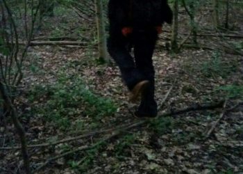 На Кубани в лесу добровольцы наткнулись на труп мужчины