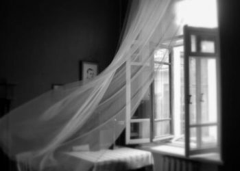 Девятиклассник выжил, выпав из окна четвертого этажа одной из гимназий в Краснодаре