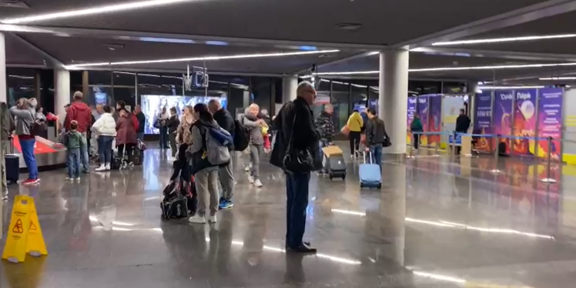 СМИ объяснили двухчасовую задержку багажа в аэропорту Сочи поздним прибытием рейса