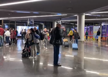 СМИ объяснили двухчасовую задержку багажа в аэропорту Сочи поздним прибытием рейса