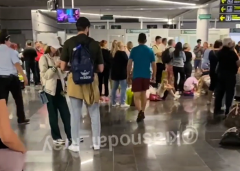 Аэропорт Сочи из-за задержки самолета из Турции не выдает багаж 2 часа