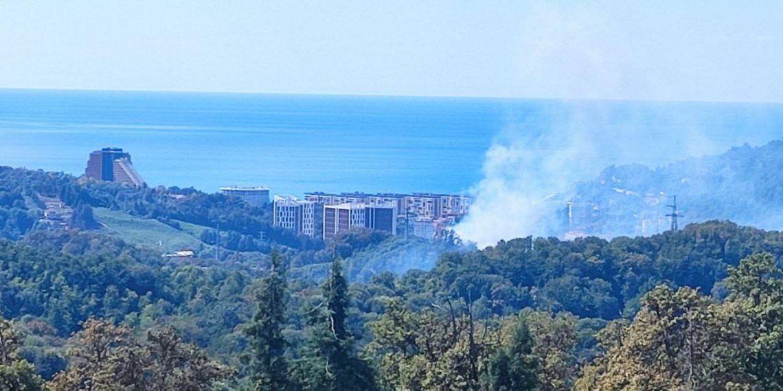 В Сочи тушат горящий кустарник