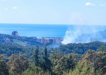 В Сочи тушат горящий кустарник