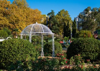 Шесть тысяч кустов роз 33 сортов высадили в обновленном розарии Сочи