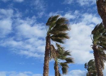 В Сочи ожидается ветер до 18 м/с и высокая пожароопасность