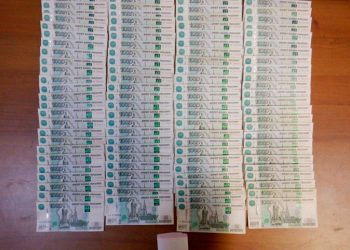 В Абхазию через границу с Сочи мужчина пытался провезти более миллиона рублей