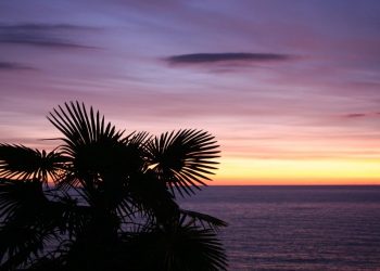 На Кубани в двух городах 1 сентября произошло землетрясение