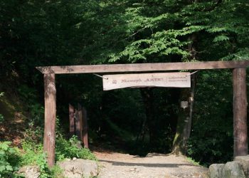 В Сочи искали пятерых пропавших туристов