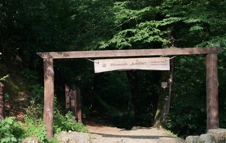 В Сочи искали пятерых пропавших туристов