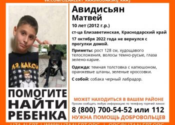 В Краснодаре пропал не вернувшийся с прогулки с черным лабрадором 10-летний ребенок