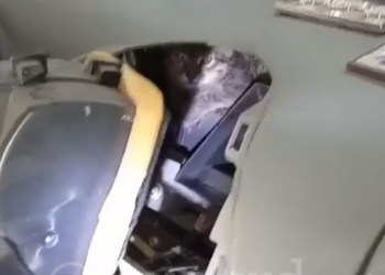 В Краснодаре на СТО сняли Lada Kalina с котом внутри