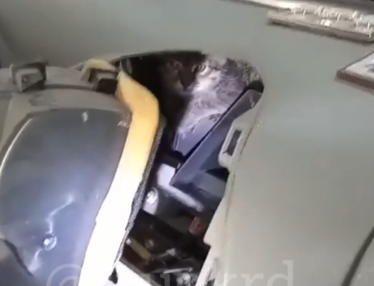 В Краснодаре на СТО сняли Lada Kalina с котом внутри