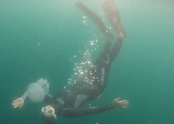 Пользователей Сети покорил танец дайвера с медузой в Черном море Сочи