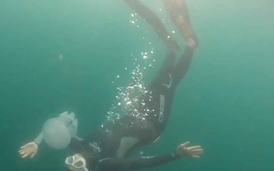 Пользователей Сети покорил танец дайвера с медузой в Черном море Сочи