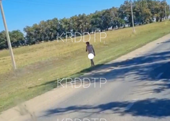 Полиция Краснодара разыскивает разгуливающего 3 октября по обочине дороги мужчину в костюме Адама