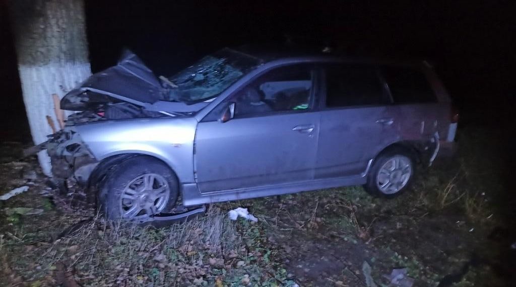 На Кубани Nissan врезался в дерево: погибла женщина