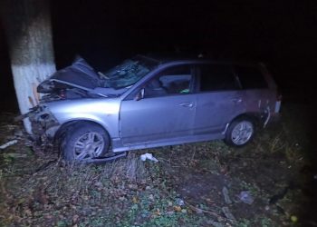 На Кубани Nissan врезался в дерево: погибла женщина