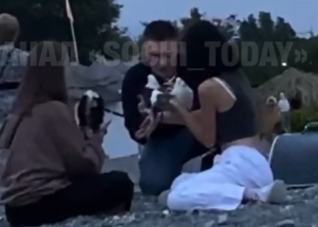 На пляже Сочи для проведения фотосессии голубей жестко стряхивают вниз головой