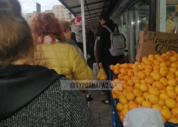 На Кубани выстроились многометровые очереди за хамсой