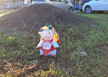 Жители Краснодара обеспокоены из-за игрушек с украинской символикой