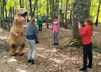 В лесу Сочи из гигантского шара выпрыгнул рептилоид и завел роман с женщинами