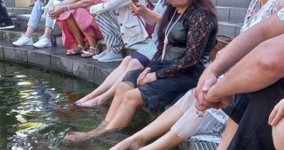 В краснодарском парке Галицкого посетители окунули свои грязные и больные ноги в чистый бассейн с рыбками
