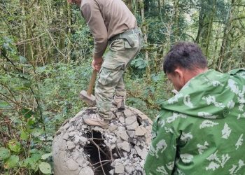 Стало известно, что находилось внутри гигантских шаров в лесу Сочи
