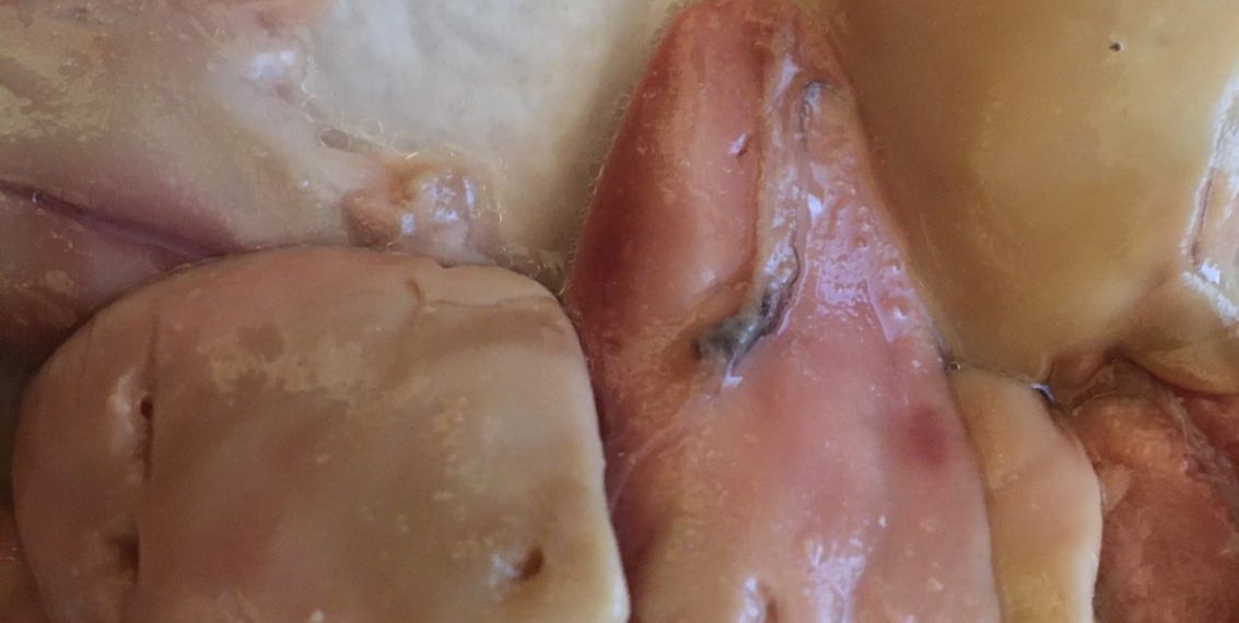 В одном из магазинов Туапсе мухи полезли в молоки к селедке