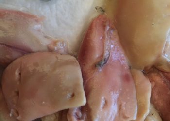 В одном из магазинов Туапсе мухи полезли в молоки к селедке