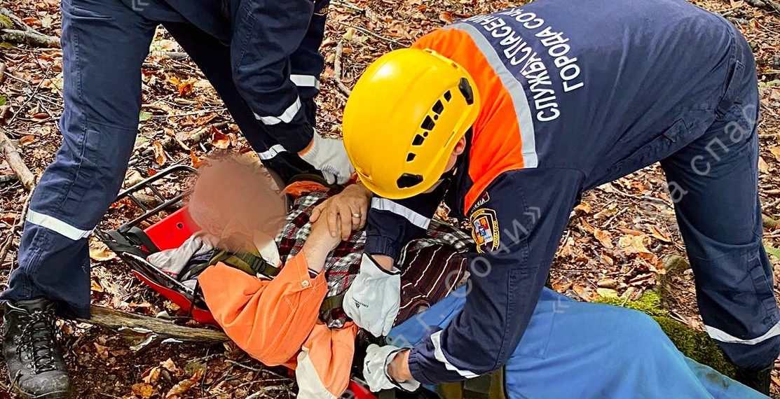 В лесу Сочи у ужаленного осой 71-летнего пенсионера произошел первый эпилептический приступ