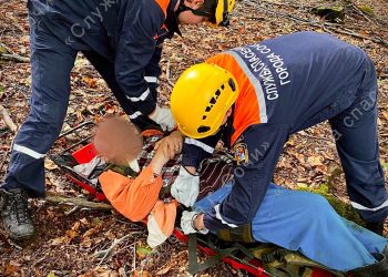 В лесу Сочи у ужаленного осой 71-летнего пенсионера произошел первый эпилептический приступ