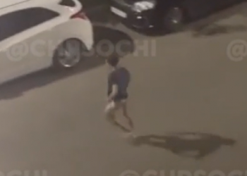 В Сочи акклиматизация у отдыхающих приводит к повреждению рассудка