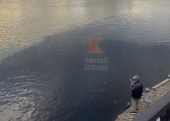 Жители Краснодарского края пожаловались на загрязнение реки Кубань сточными водами