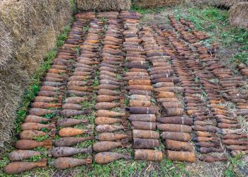 Житель Кубани выкопал яму во дворе и нашел там 352 снаряда