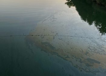 В Туапсе жители пожаловались на нефтепродукты, плывущие по реке в море