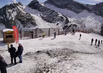 Дельфины в море и снег в горах октябрьского Сочи потрясли россиян