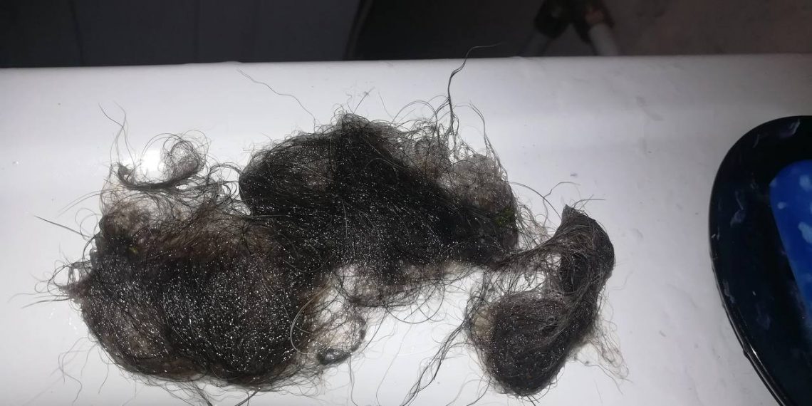 Анапская девушка забыла в ванной это и испортила отношения с соседями по коммуналке