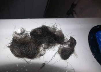 Анапская девушка забыла в ванной это и испортила отношения с соседями по коммуналке